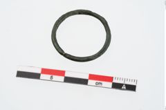 Foto von Bronzering (NHMW-PRAE-024513)